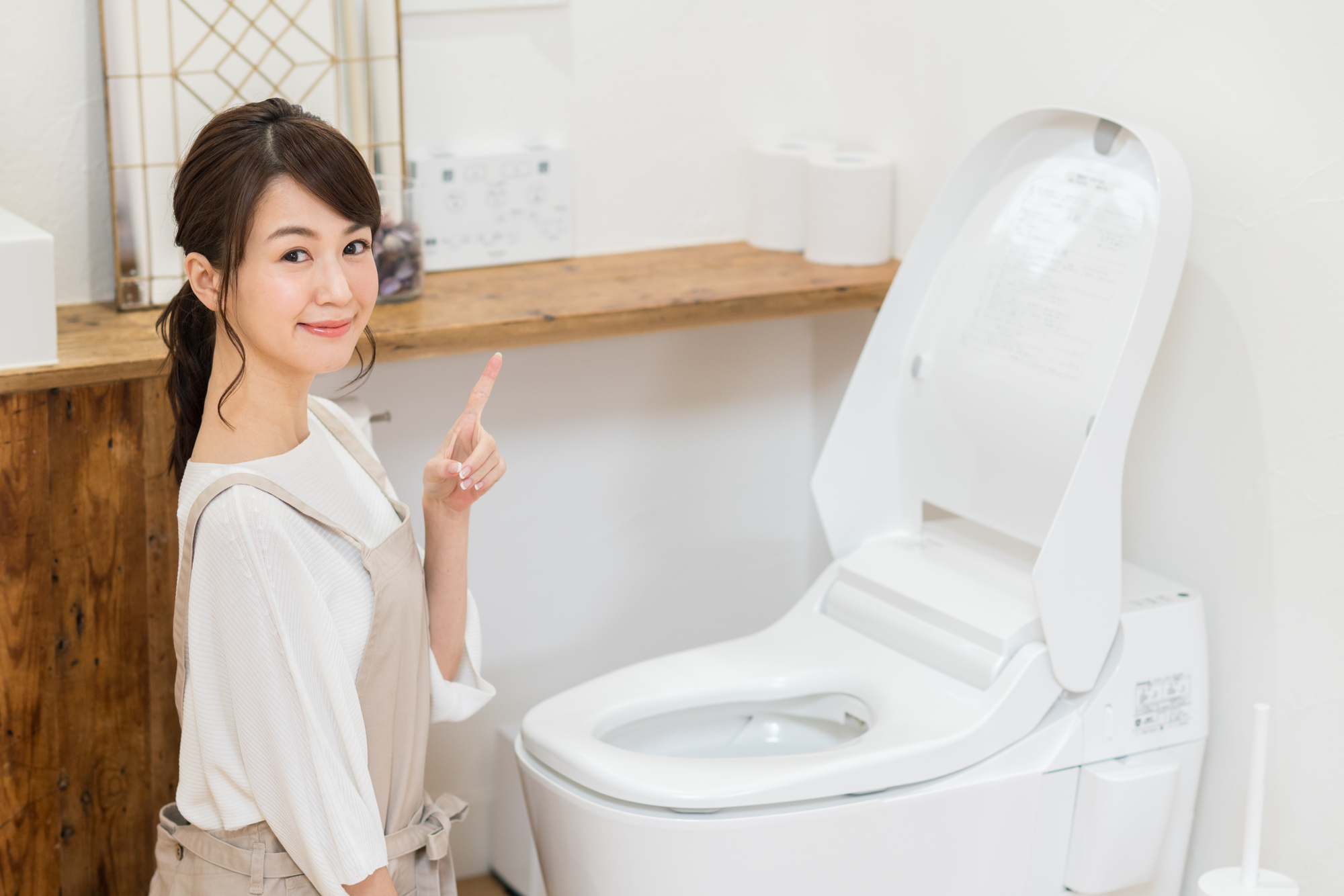 トイレの主な種類を知ろう